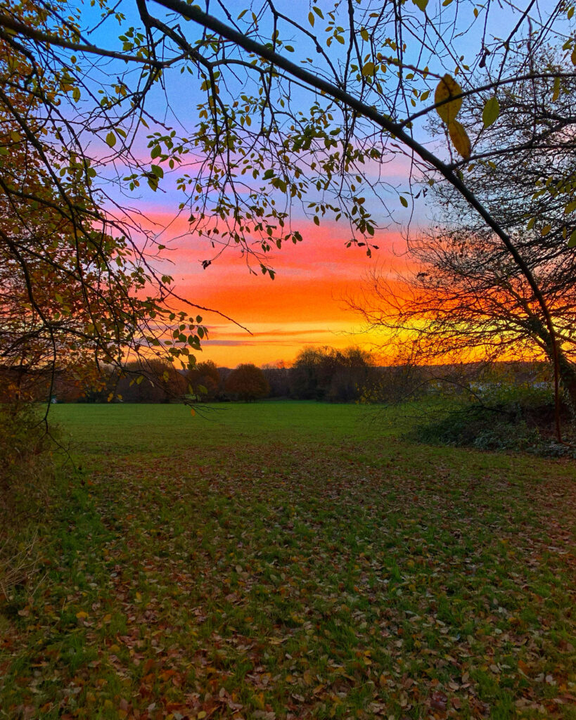 Sunset in a field, with the sky shades of blues, pinks, oranges and yellows